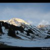 20070305_010